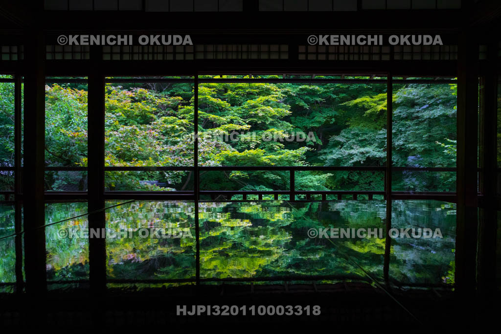 京都府　瑠璃光院　書院二階から望む新緑