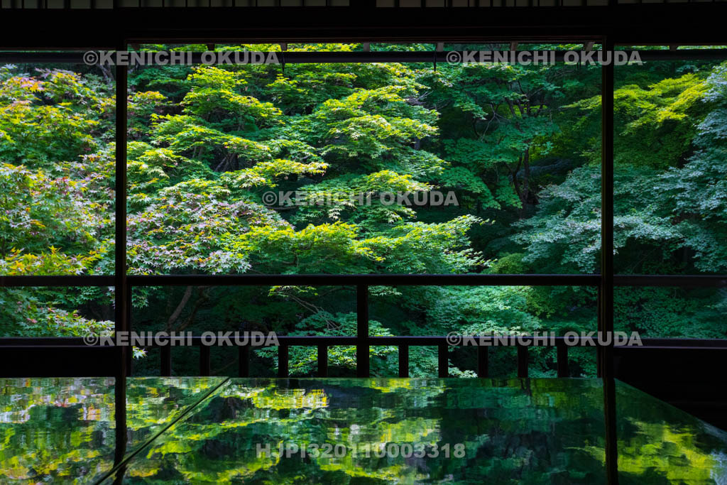 京都府　瑠璃光院　書院二階から望む新緑