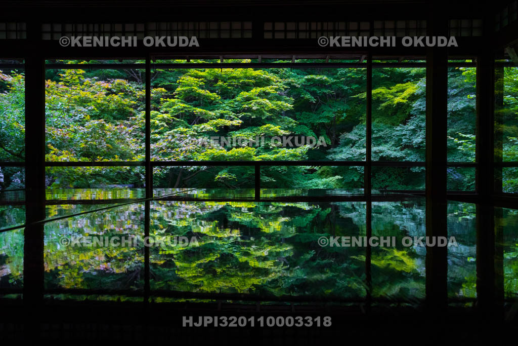 京都府　瑠璃光院　書院二階から望む新緑