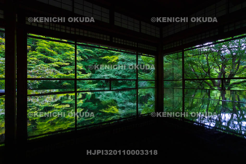 京都府　瑠璃光院　書院二階から望む新緑