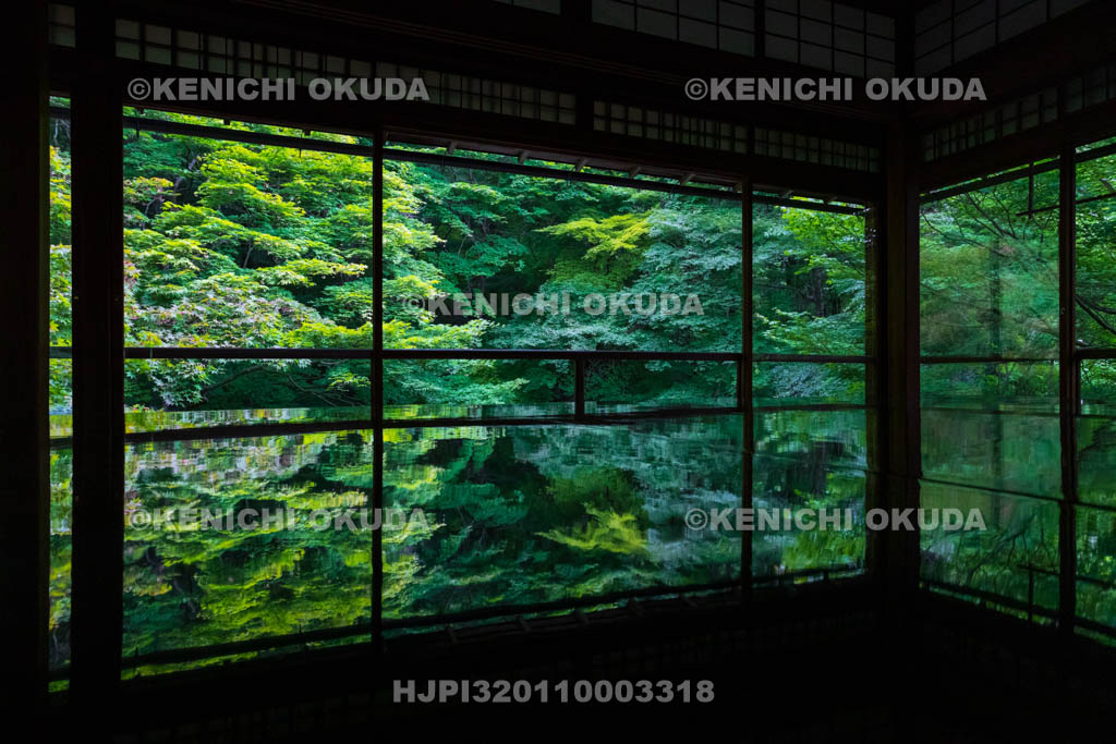 京都府　瑠璃光院　書院二階から望む新緑