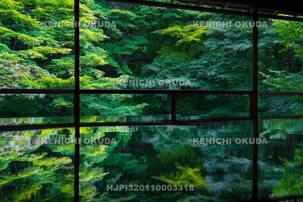 京都府　瑠璃光院　書院二階から望む新緑