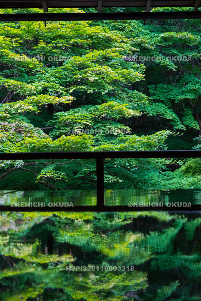 京都府　瑠璃光院　書院二階から望む新緑