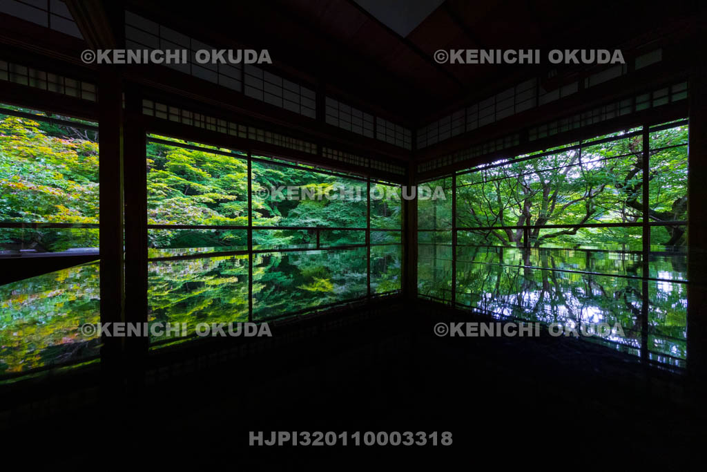 京都府　瑠璃光院　書院二階から望む新緑