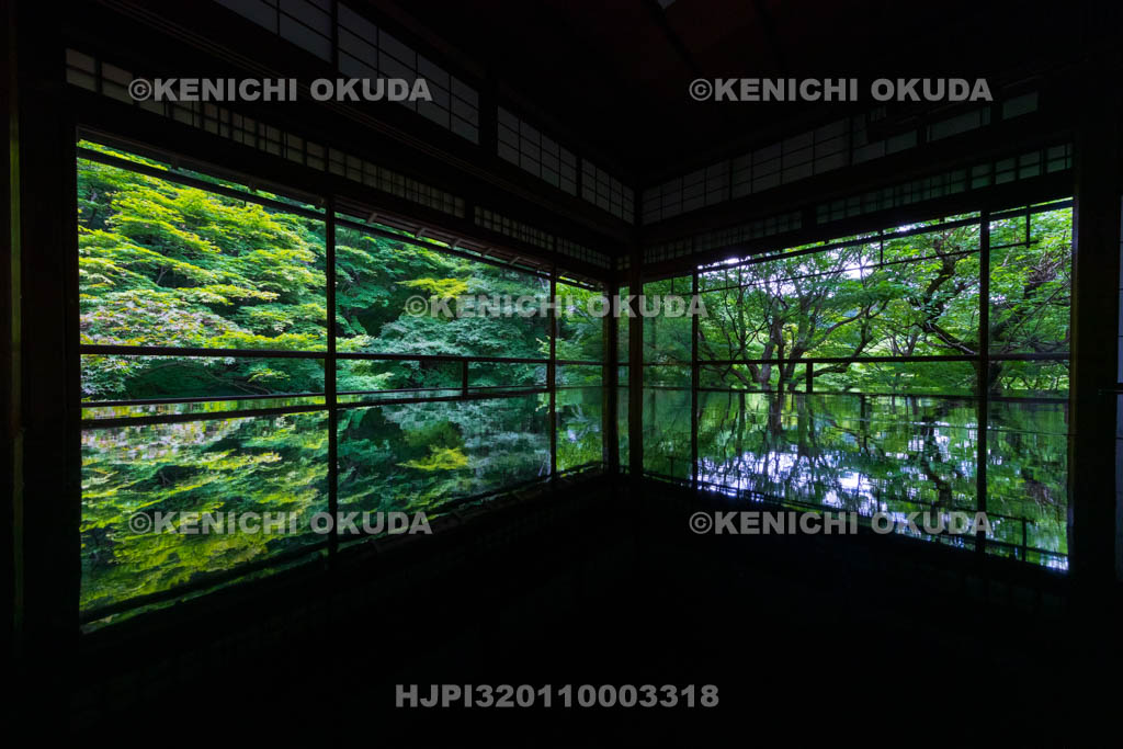 京都府　瑠璃光院　書院二階から望む新緑