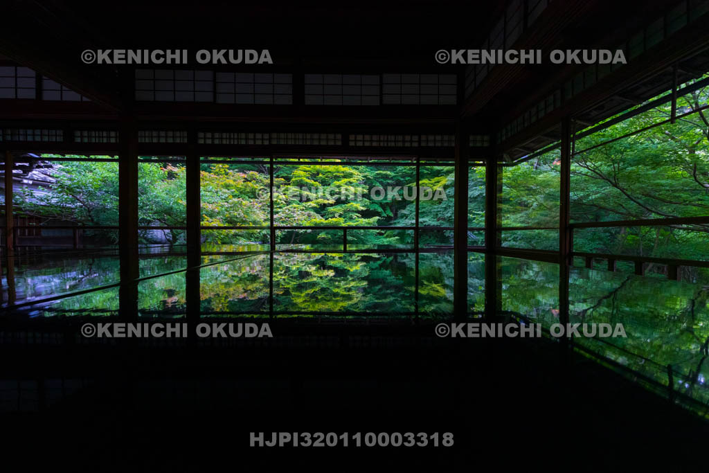 京都府　瑠璃光院　書院二階から望む新緑