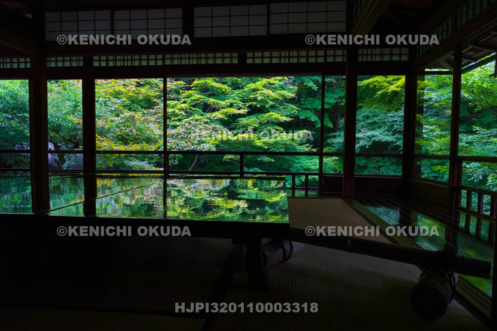 京都府　瑠璃光院　書院二階から望む新緑