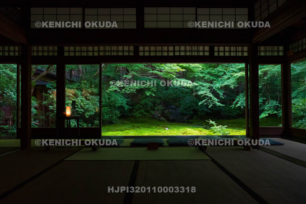 京都府　瑠璃光院　書院から望む新緑の瑠璃の庭