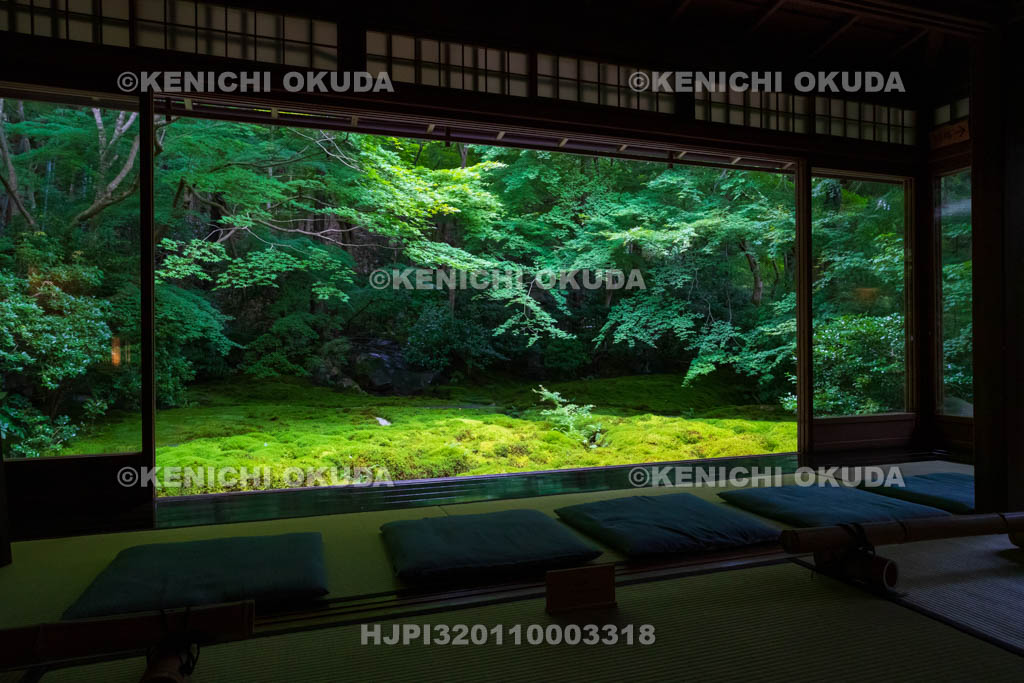 京都府　瑠璃光院　書院から望む新緑の瑠璃の庭