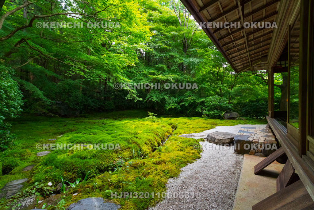 京都府　瑠璃光院　書院から望む新緑の瑠璃の庭