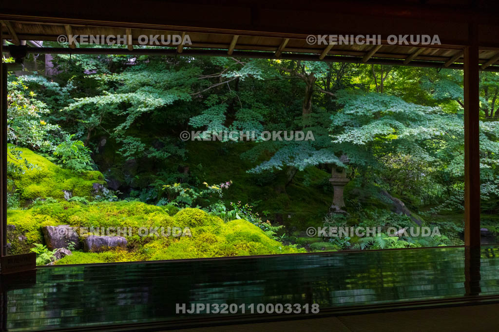 京都府　瑠璃光院　臥龍の庭
