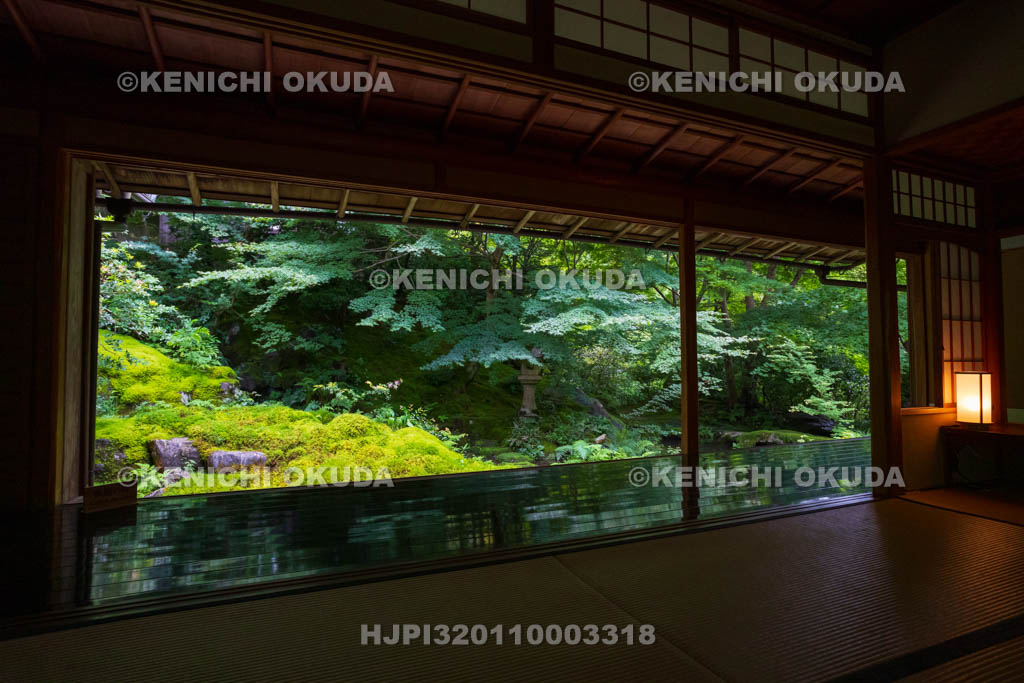 京都府　瑠璃光院　臥龍の庭