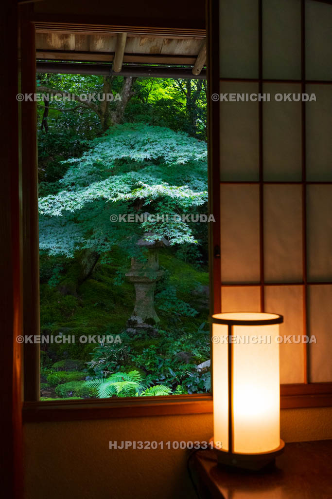 京都府　瑠璃光院　臥龍の庭