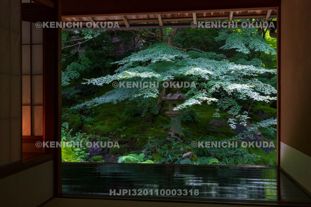京都府　瑠璃光院　臥龍の庭