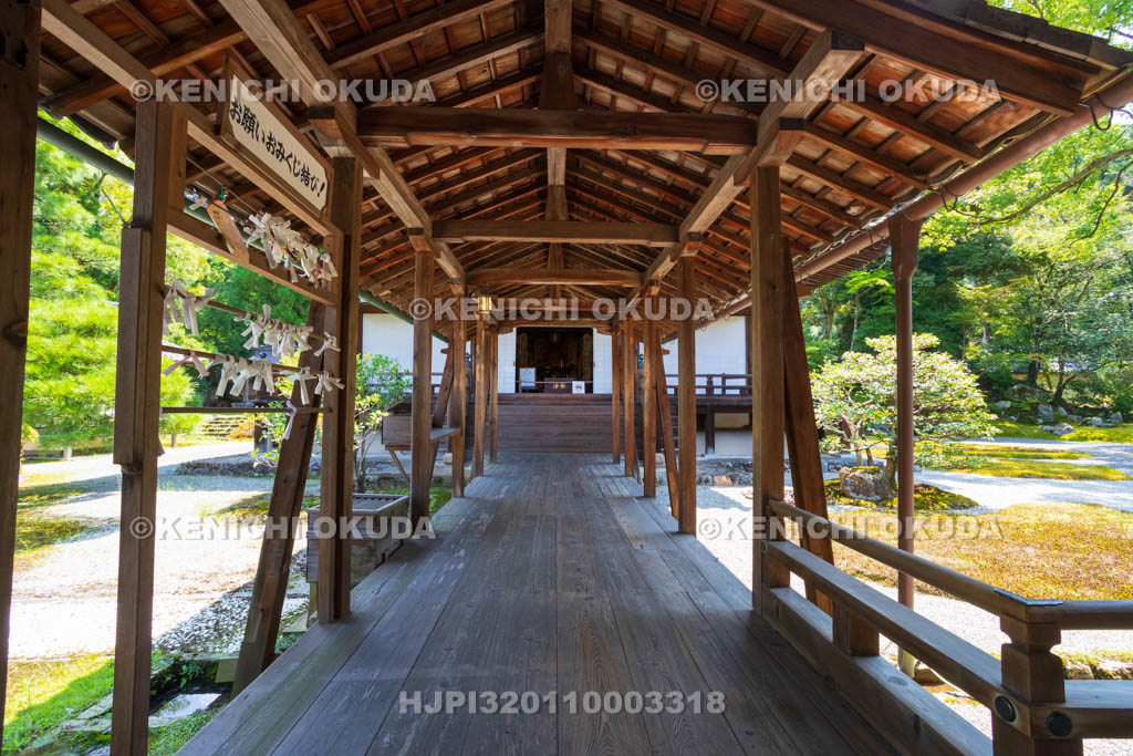京都府　醍醐寺　三宝院　本堂（重要文化財）への回廊
