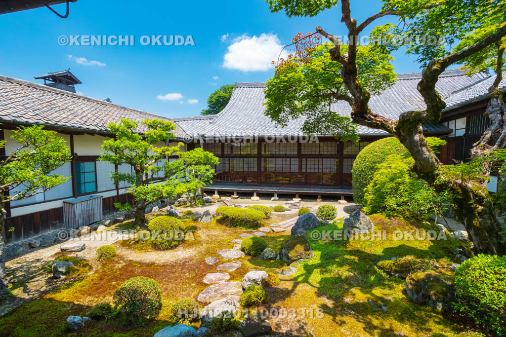 京都府　醍醐寺　三宝院　表書院中庭