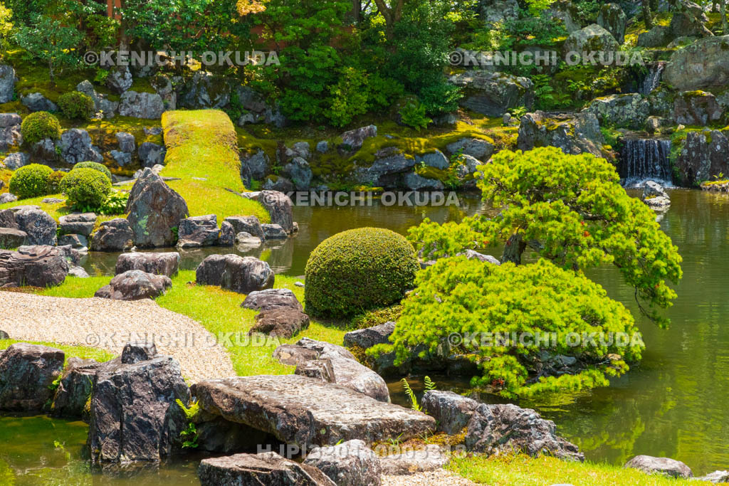 京都府　醍醐寺　三宝院　三宝院庭園