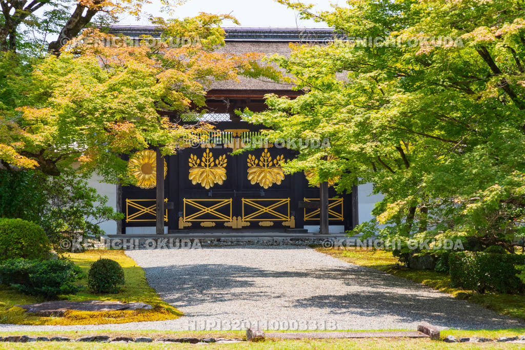 京都府 醍醐寺 三宝院 唐門(国宝)