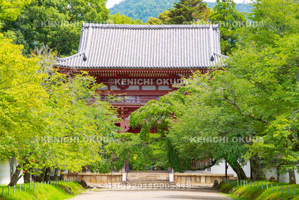 京都府　醍醐寺　西大門（仁王門）