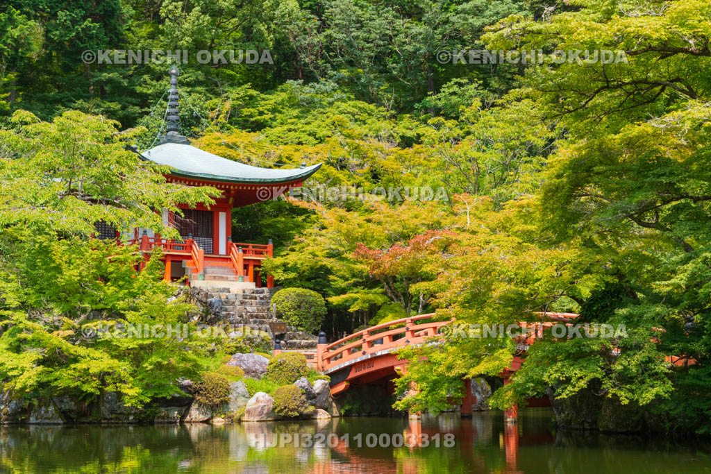 京都府 醍醐寺 新緑の弁天堂