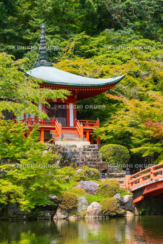 京都府　醍醐寺　新緑の弁天堂