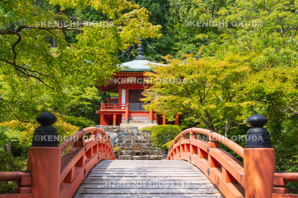 京都府 醍醐寺 新緑の弁天堂