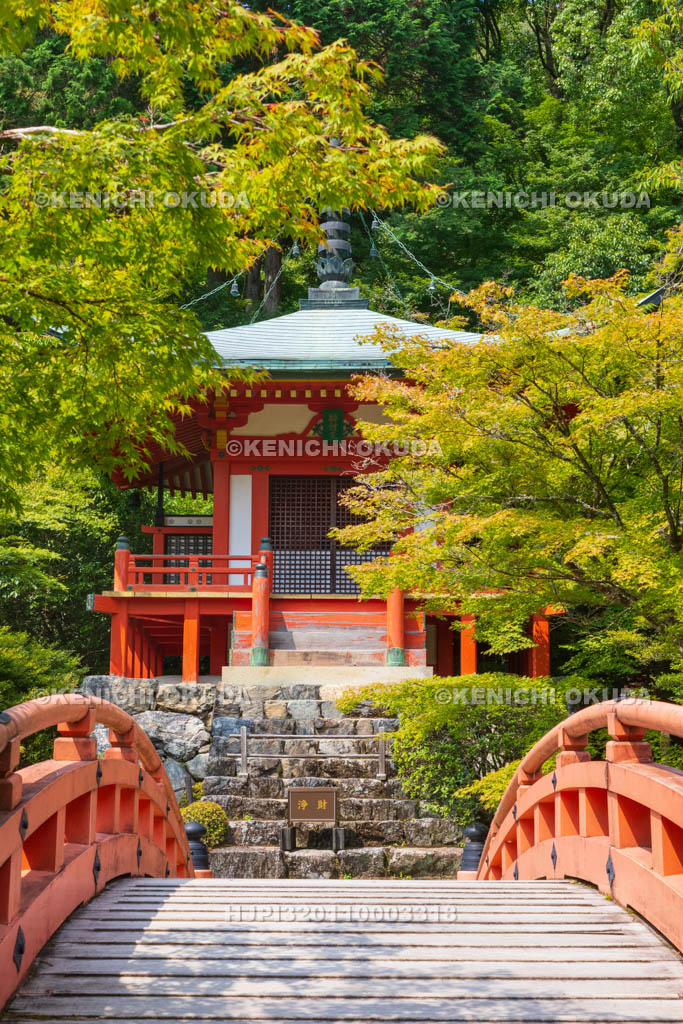 京都府　醍醐寺　新緑の弁天堂