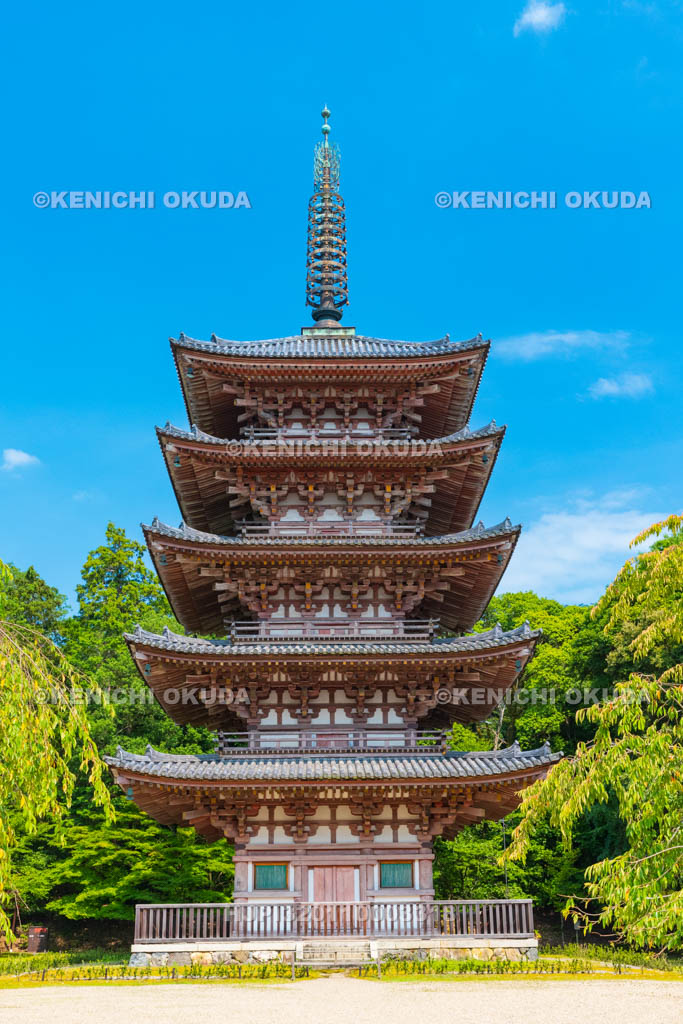 京都府　醍醐寺　五重塔（国宝）