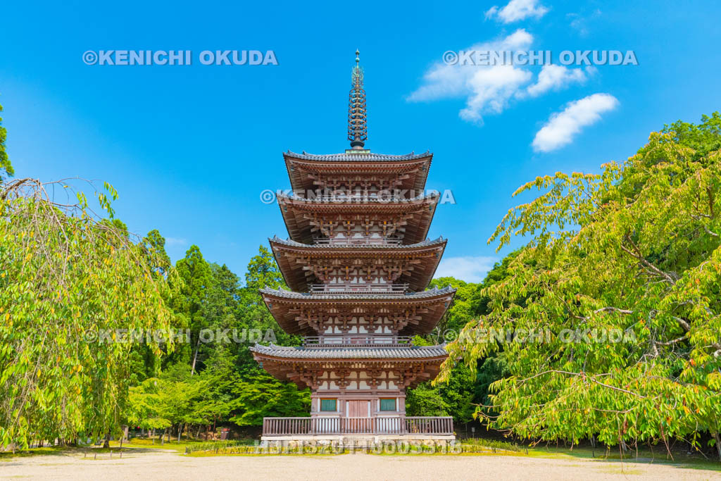京都府　醍醐寺　五重塔（国宝）