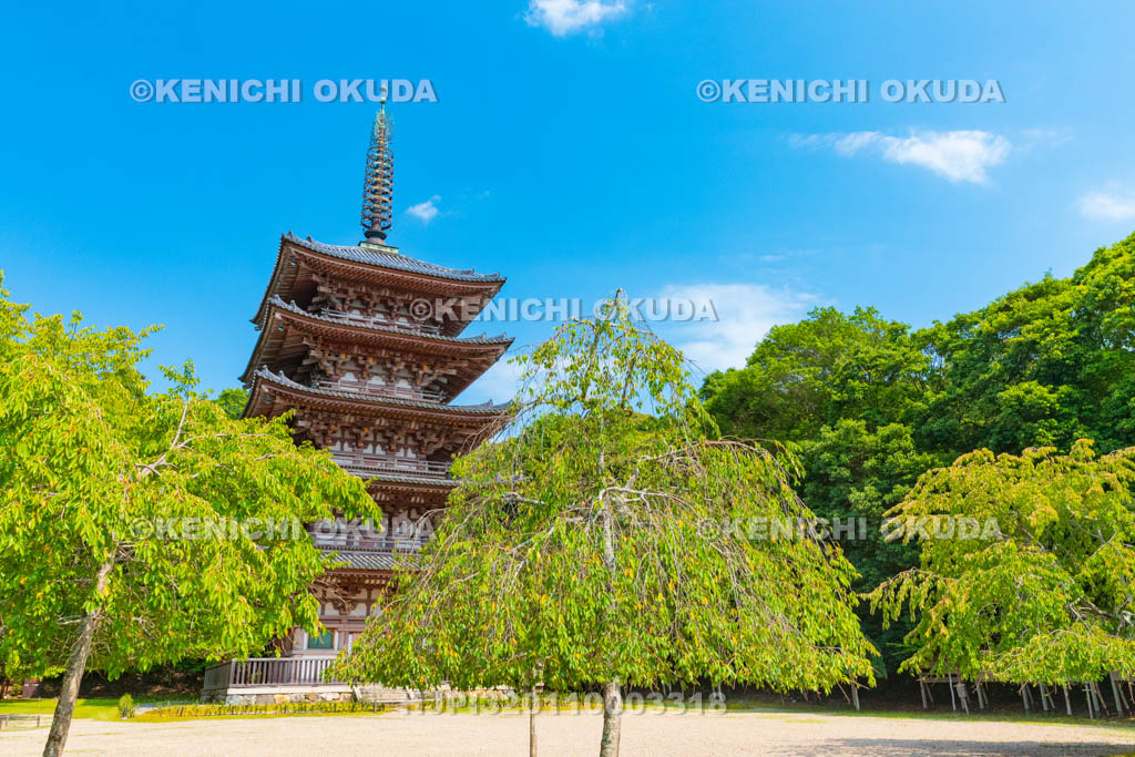 京都府　醍醐寺　五重塔（国宝）