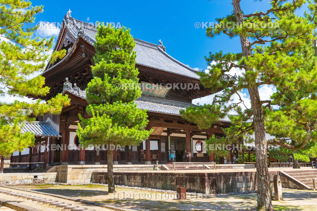 京都府 萬福寺 大雄寶殿(重要文化財)