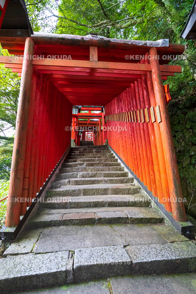 島根県 津和野 太皷谷稲成神社 表参道