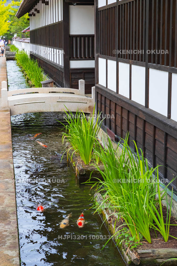 島根県　津和野　殿町通り　掘割