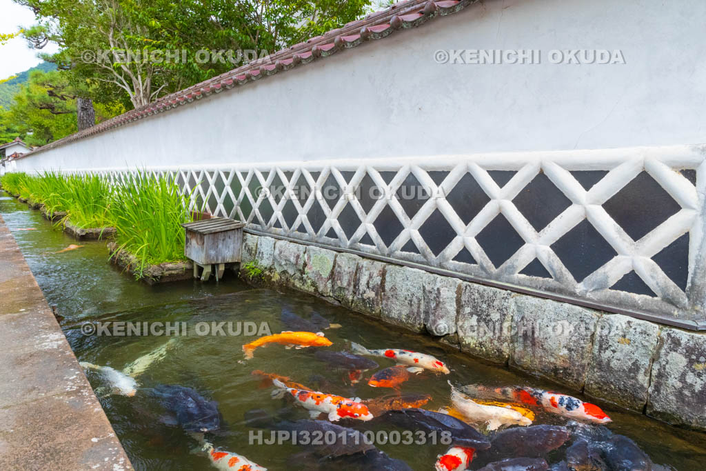 島根県　津和野　殿町通り　掘割