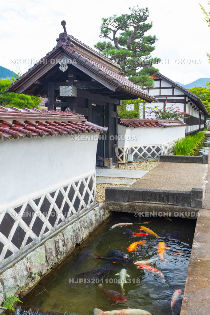 島根県　津和野　殿町通り　掘割