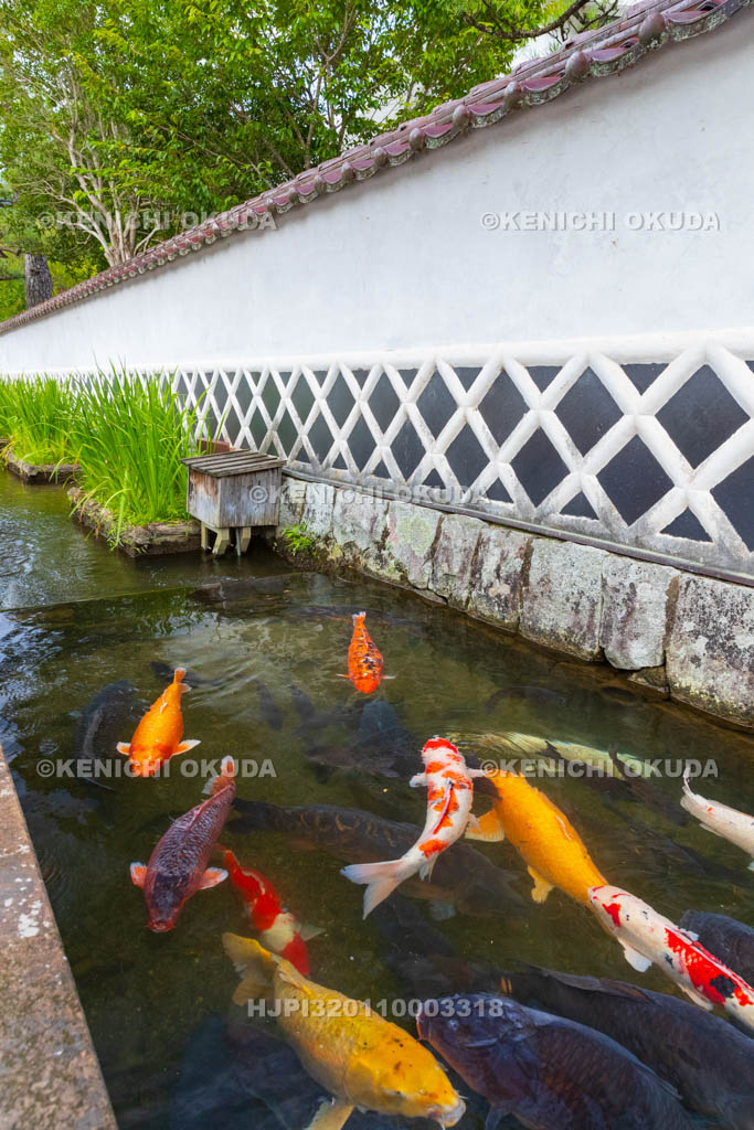 島根県　津和野　殿町通り　掘割