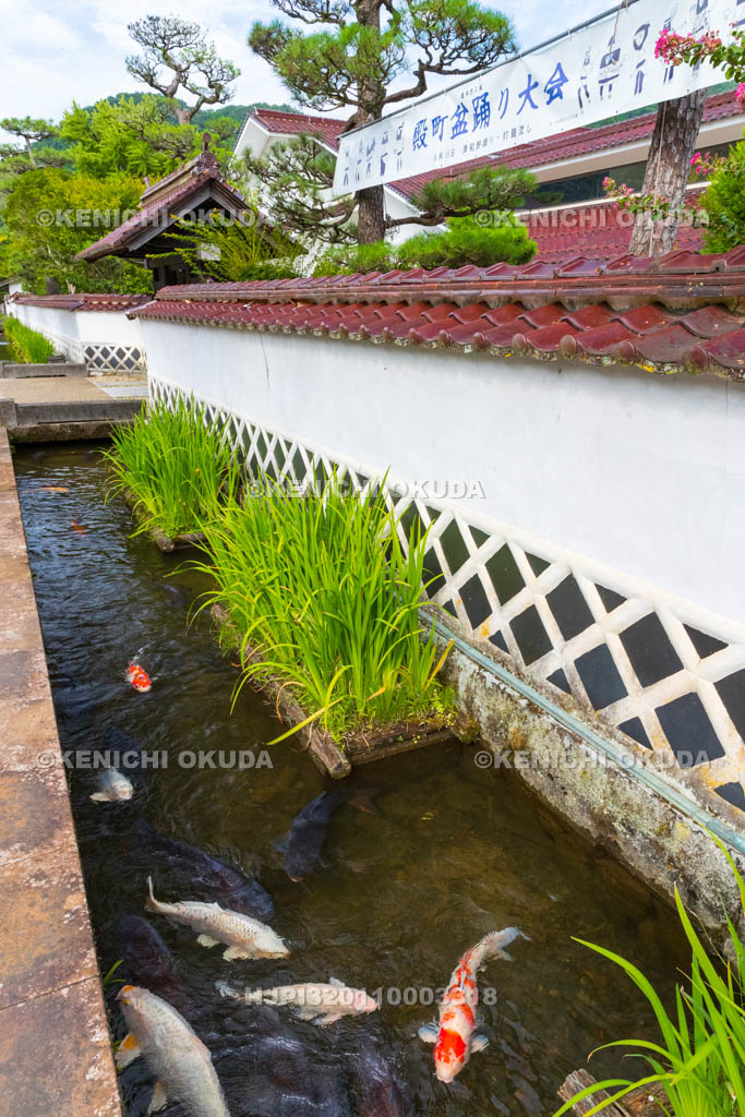 島根県　津和野　殿町通り　掘割