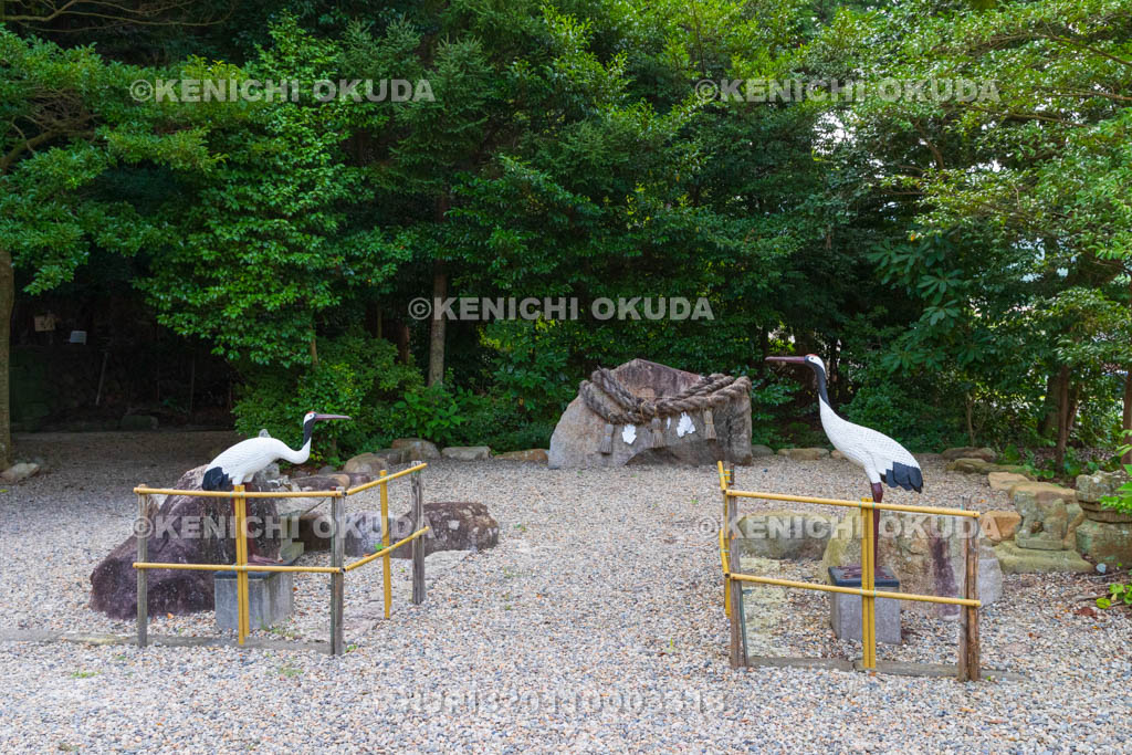 島根県 物部神社 禊石と狛鶴