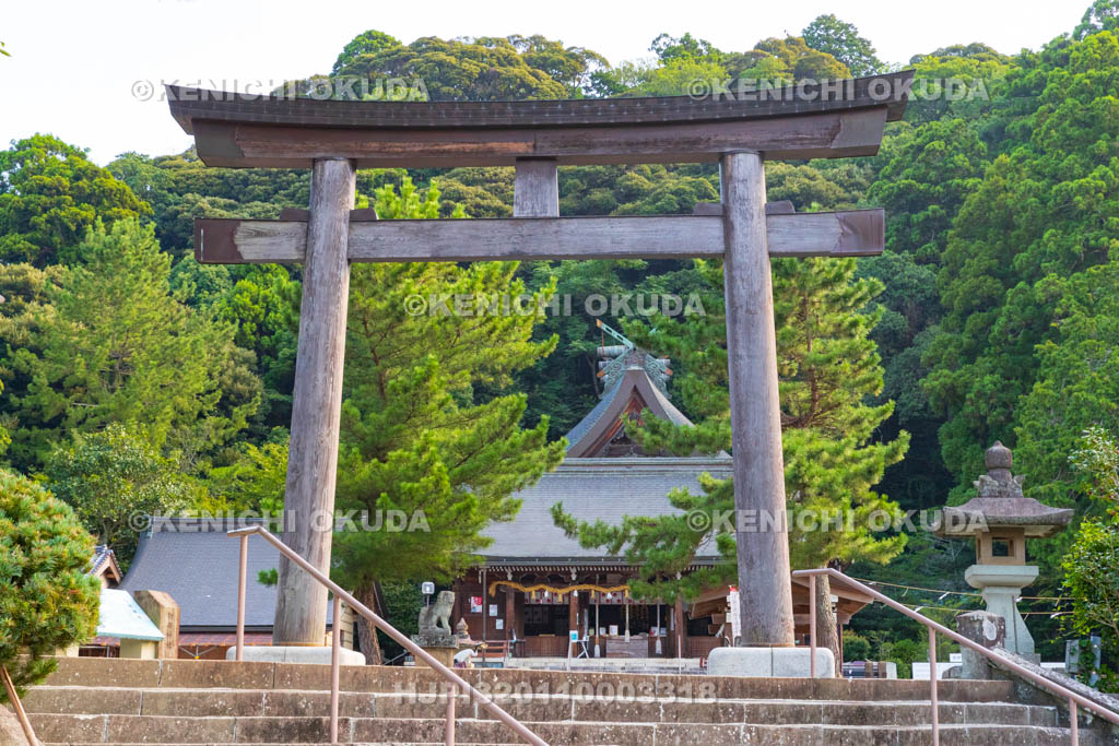 島根県 物部神社 大鳥居と社殿