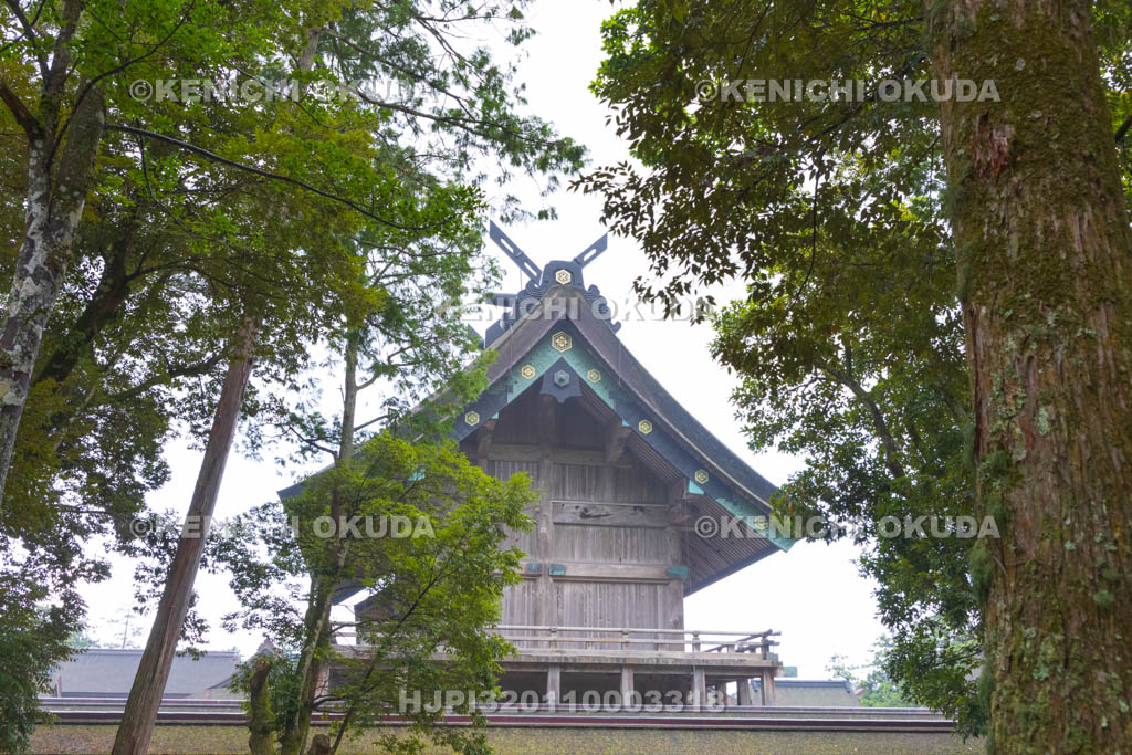 島根県 霧の出雲大社 本殿(国宝)