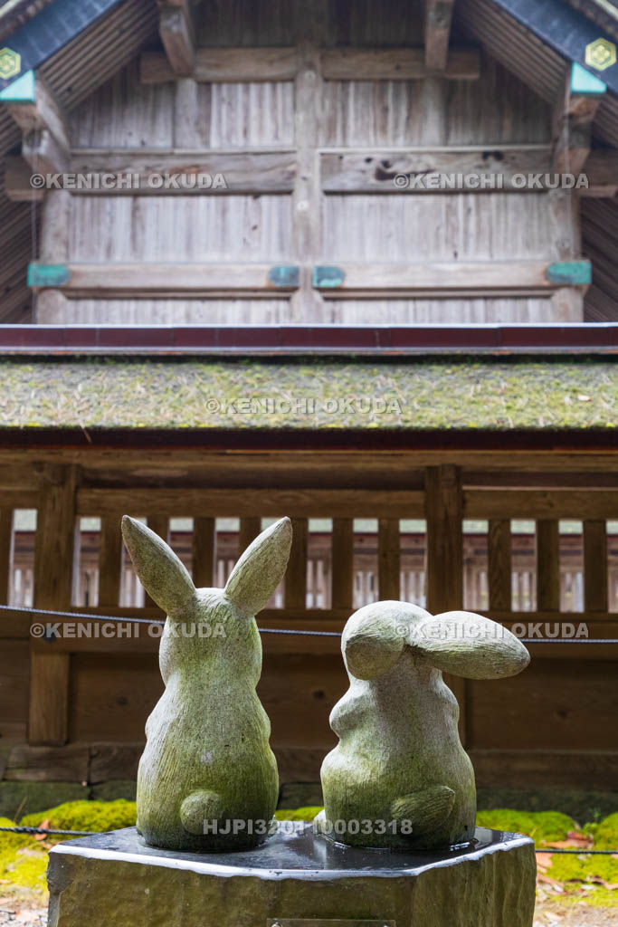 島根県 出雲大社 本殿(国宝)と因幡の白兎像