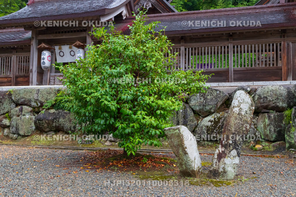 島根県　佐太神社　弓石