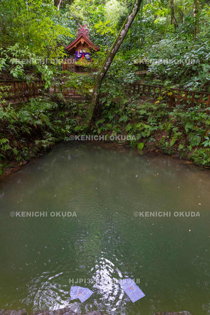 島根県　八重垣神社　鏡の池