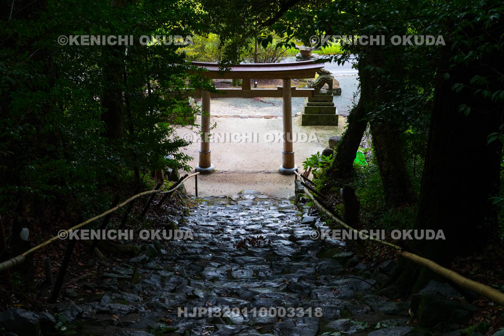 島根県　真名井神社　参道