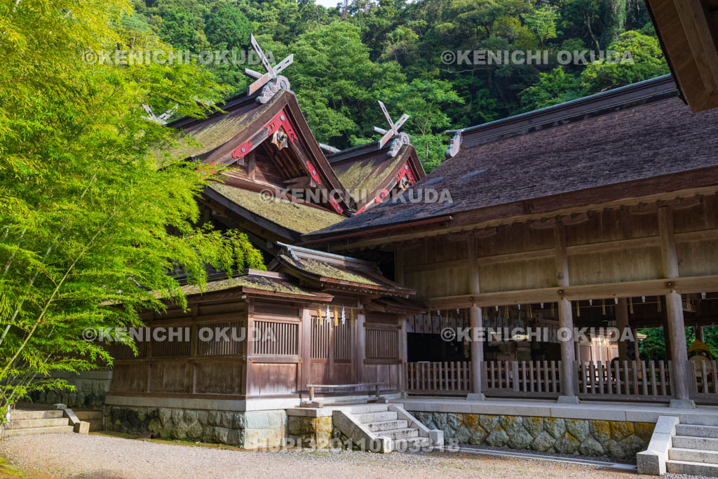 島根県　美保神社　本殿（重要文化財）