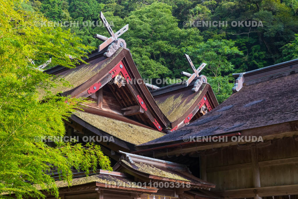 島根県　美保神社　本殿（重要文化財）