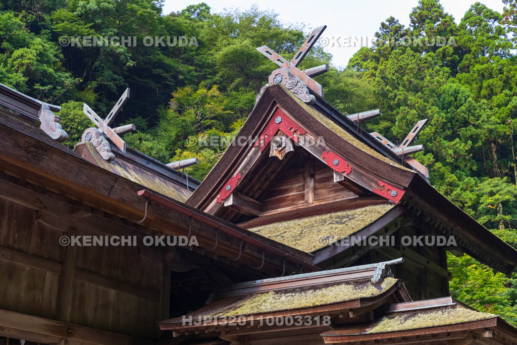 島根県　美保神社　本殿（重要文化財）