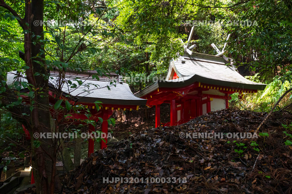 奈良県　八咫烏神社　本殿