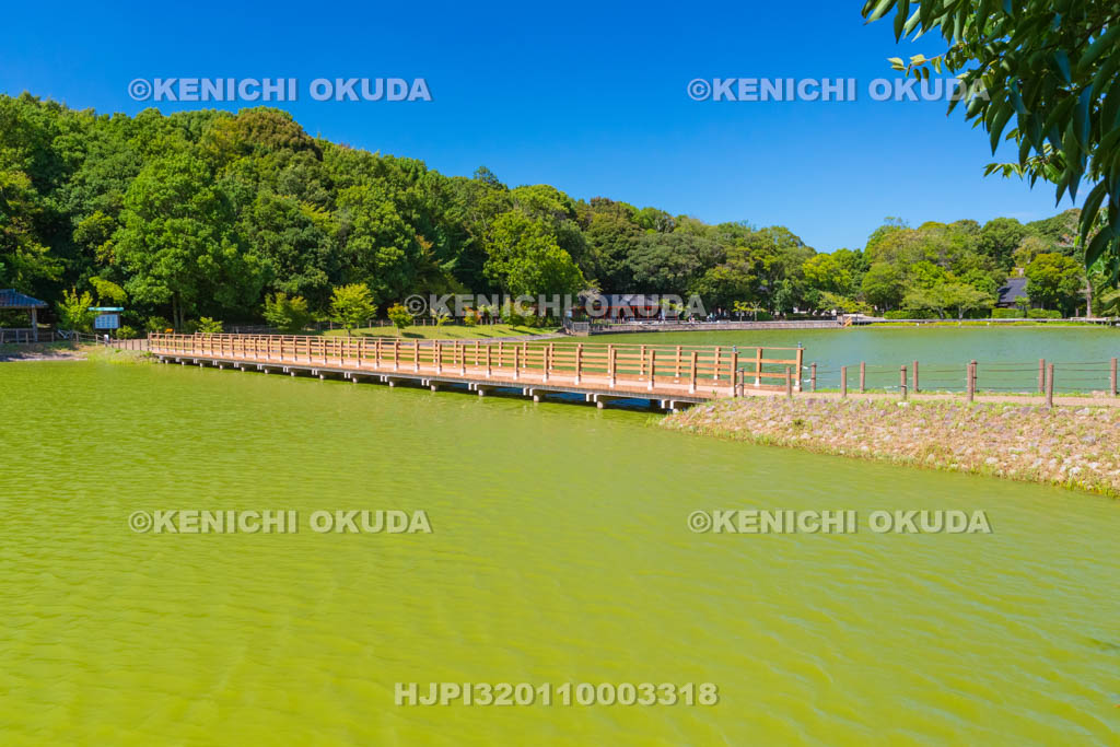 奈良県　橿原神宮　深田池