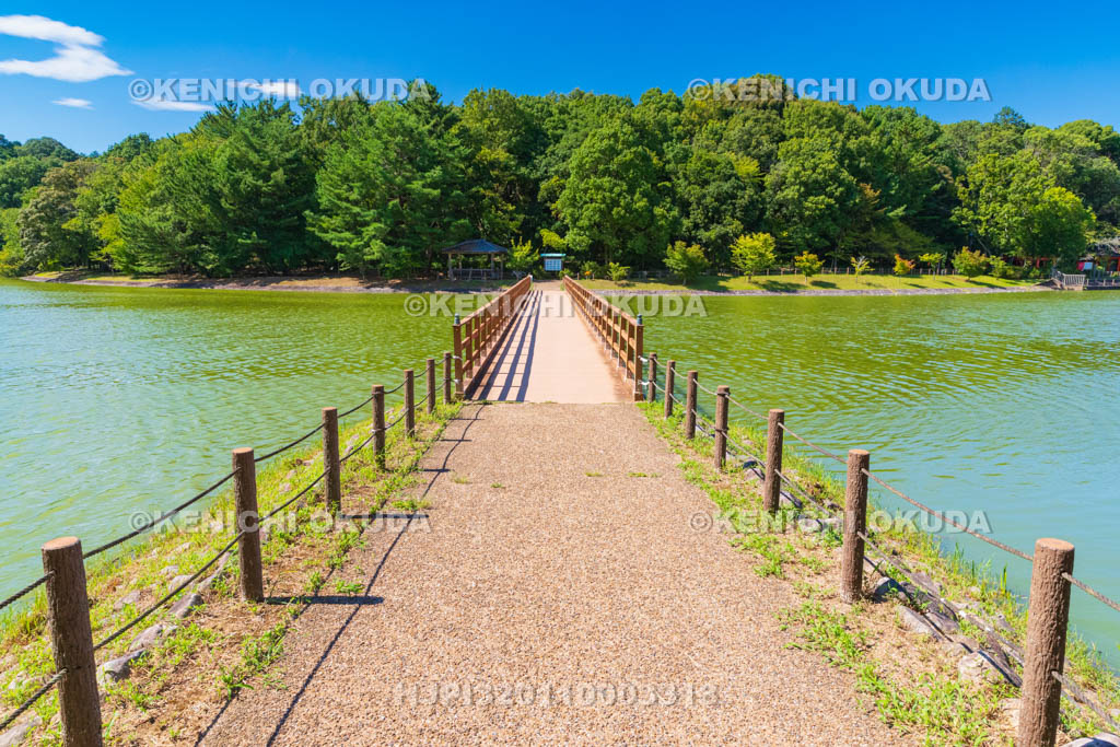 奈良県　橿原神宮　深田池